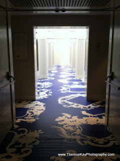 photograph of hallway lit by window light with blue graphic carpet