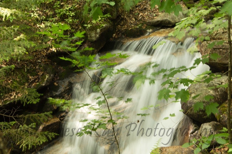 waterfall image by Therese Kay Photography