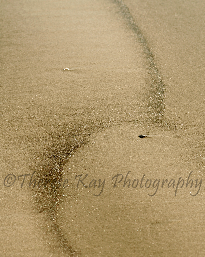 abstract photograph of sand pattern similar to a yin-yang symbol